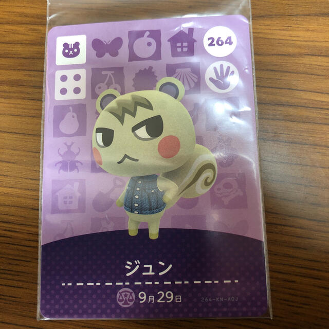 どうぶつの森 amiibo ジュン