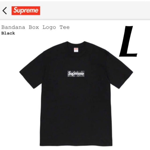 supreme Bandana Box Logo Tee