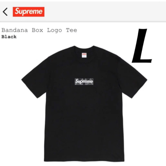 Supreme Bandana Box Logo Tee