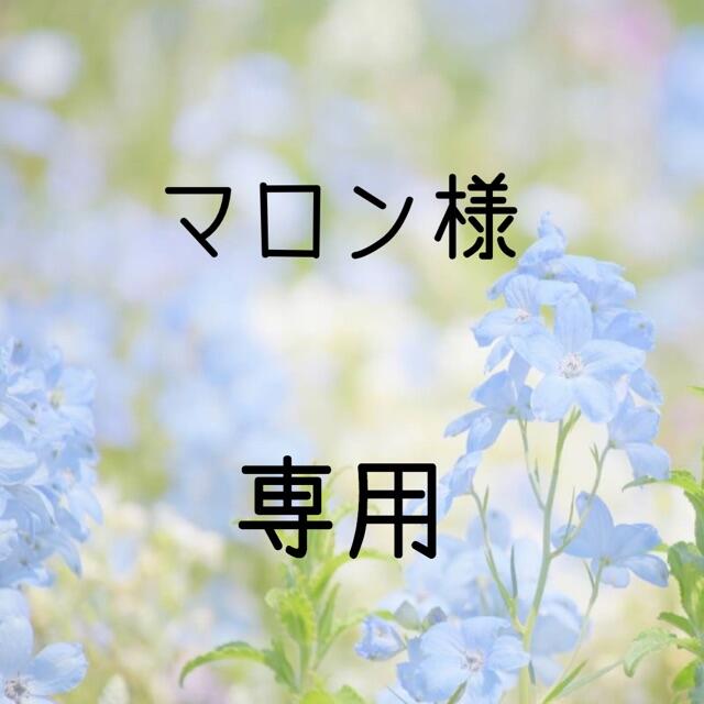 マロン様専用 お米　令和2年　愛媛県産キヌヒカリ　玄米　30㎏