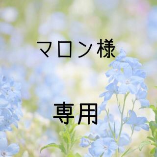 マロン様専用 お米　令和2年　愛媛県産キヌヒカリ　玄米　30㎏(米/穀物)