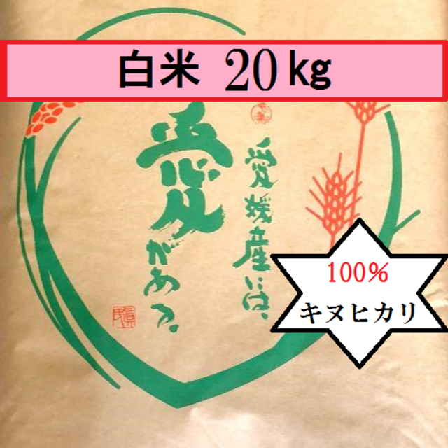 お米　令和２年　愛媛県産キヌヒカリ　白米　20㎏ 食品/飲料/酒の食品(米/穀物)の商品写真
