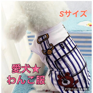 愛犬 わんこ 犬用  Tシャツ 洋服  ストライプ ブルー  Sサイズ 小型犬(ペット服/アクセサリー)