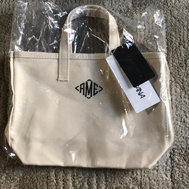 L'Appartement DEUXIEME CLASSE(アパルトモンドゥーズィエムクラス)の【AMERICANA/アメリカーナ】 AME Tote Bag Mini レディースのバッグ(トートバッグ)の商品写真