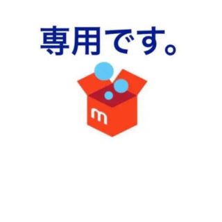 専用のページ(その他)