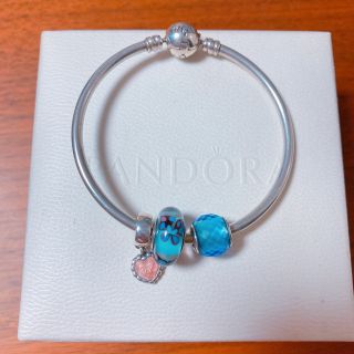 生がき様専用ページ値下げ❗️Pandora セット(箱なし)(チャーム)