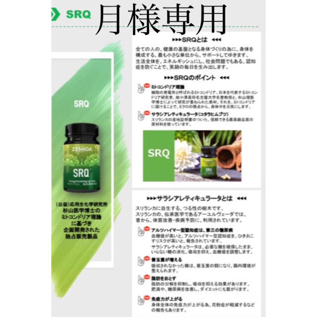 新素材新作 月 ゼンノア コアケア SRQ その他 - odontomillenium.jdf.br