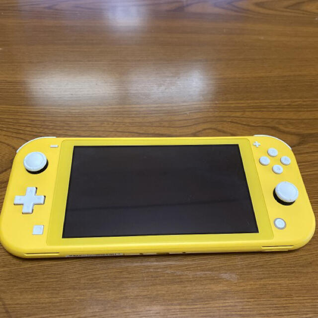Nintendo Switch Lite 本体　ケース付き
