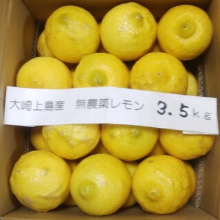 広島県大崎上島無農薬レモン　3.5kg(フルーツ)