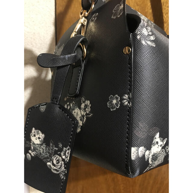 フランシュリッペ＊オリプリケーキ箱BAG おとなねこ図鑑