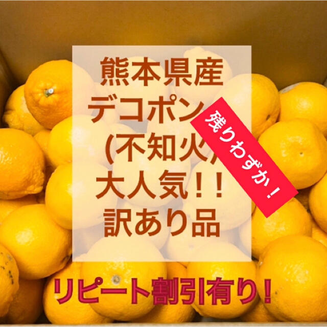 熊本県産　不知火　10キロ 食品/飲料/酒の食品(フルーツ)の商品写真