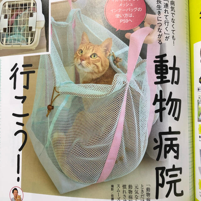 猫が落ち着くメッシュインナーバッグ その他のペット用品(猫)の商品写真