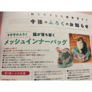 ねこのきもち　付録　メッシュバッグ(猫)