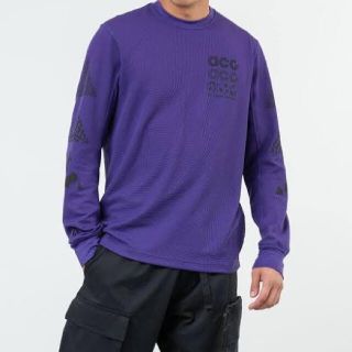 NIKE - NIKE ナイキ ACG ロング スリーブ ワッフル Tシャツ Sサイズの