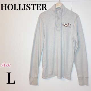 ホリスター(Hollister)の【HOLLISTER】ホリスター　パーカー　トップス　Lサイズ　オーバーサイズ(パーカー)