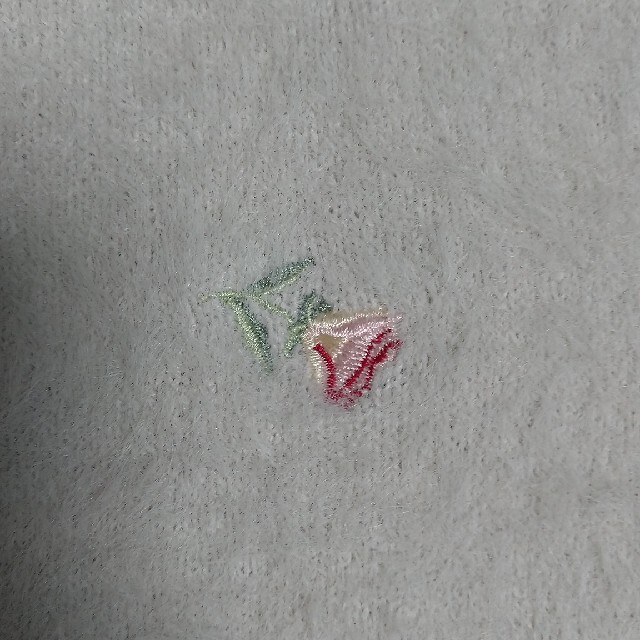 dazzlin(ダズリン)のシャギー刺繍ニットトップス レディースのトップス(ニット/セーター)の商品写真