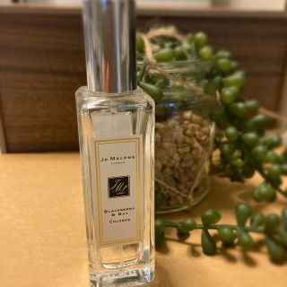 ジョーマローン(Jo Malone)のジョーマローン　ブラックベリー&ベイ コロン　30ml(ユニセックス)