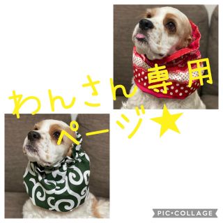 4ページ目 ペット服 アクセサリーの通販 10 000点以上 ハンドメイド お得な新品 中古 未使用品のフリマならラクマ 4ページ目 ペット服 アクセサリーの通販 10 000点以上 ハンドメイド お得な新品 中古 未使用品のフリマならラクマ