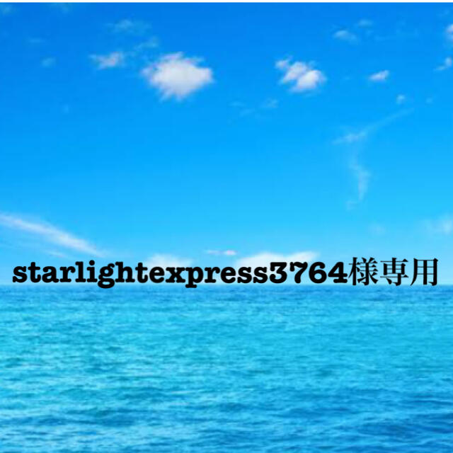 starlightexpress3764様専用 シャンプー/コンディショナーセット
