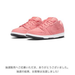 ナイキ(NIKE)のNIKE DUNK LOW SB(スニーカー)