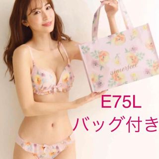 エメフィール(aimer feel)のエメフィール 2021 福袋 ブラジャー ショーツ セット E75 L バッグ(ブラ&ショーツセット)