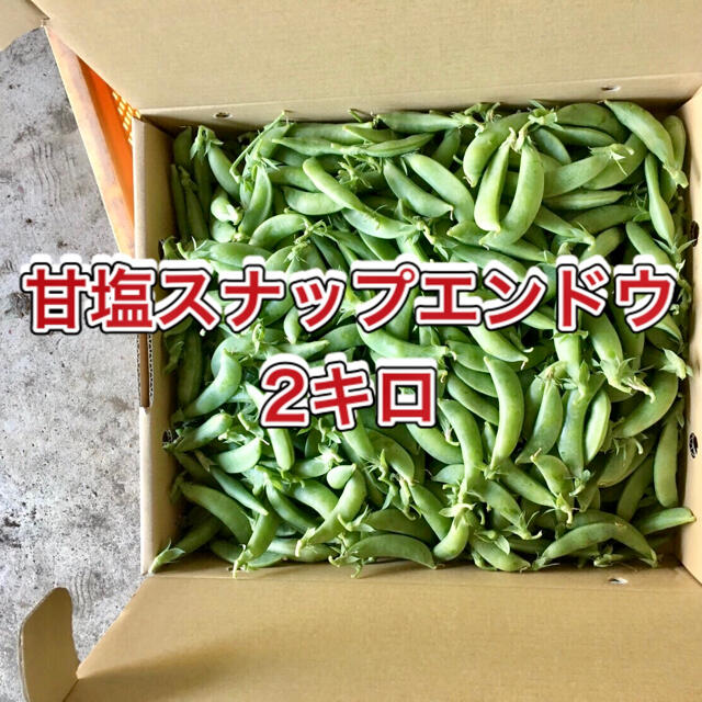 【鹿児島産】甘塩スナップエンドウ箱込み2キロ^_^ 食品/飲料/酒の食品(野菜)の商品写真