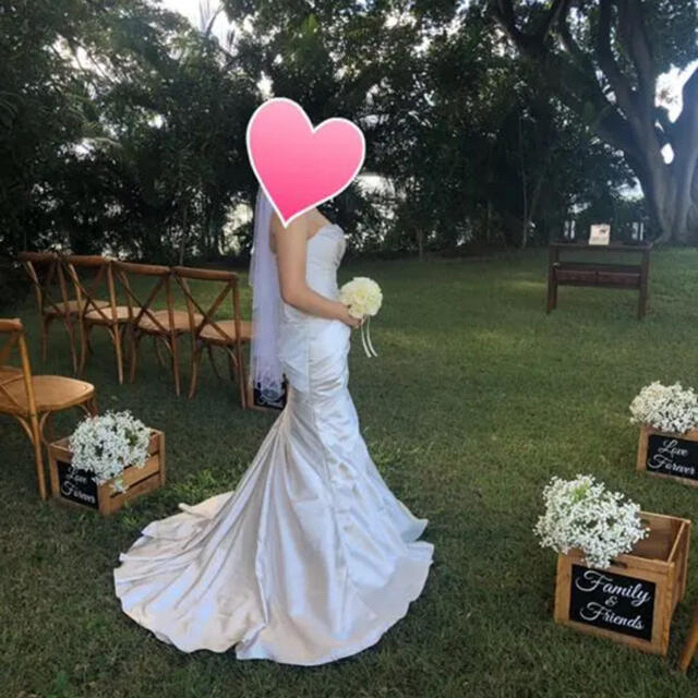 てるぼの様専用!white one pronovias ウェディング ドレス 限定特典