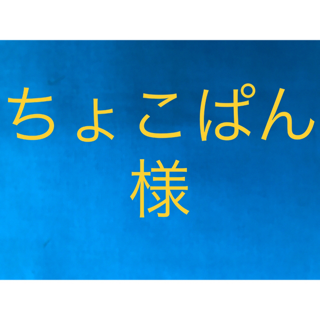 お弁当袋　コップ袋　ランチョンマット ハンドメイドのキッズ/ベビー(外出用品)の商品写真