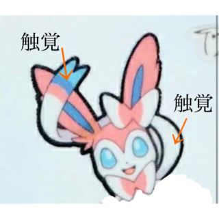 らら様専用(ネイル用品)