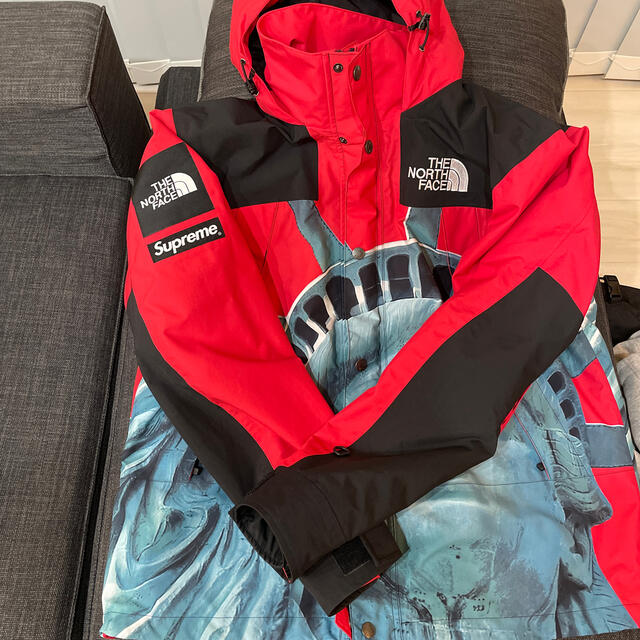 Supreme The North Face 自由の女神　マウンテンジャケット