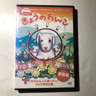 めざましテレビのきょうのわんこ感動編です^ ^の通販 by Sachio