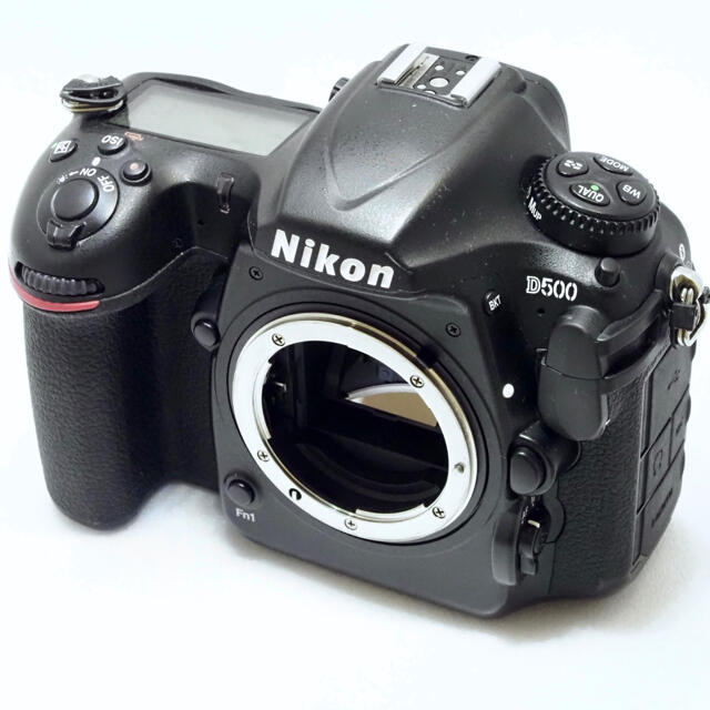 Nikon D500 ボディのみ（記録メディア2つ付き）