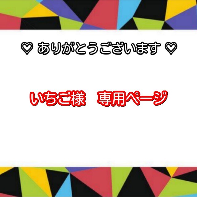 嵐(アラシ)のいちご様　専用ページ ハンドメイドのファッション小物(その他)の商品写真