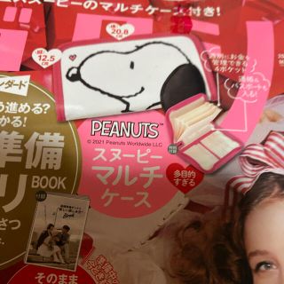 スヌーピー(SNOOPY)の早い者勝ち！スヌーピーマルチケース(キャラクターグッズ)