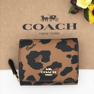 コーチ(COACH)のCOACH 財布　★大人気★　ウォレット　レオパード ヒョウ柄　三つ折り　新品(財布)