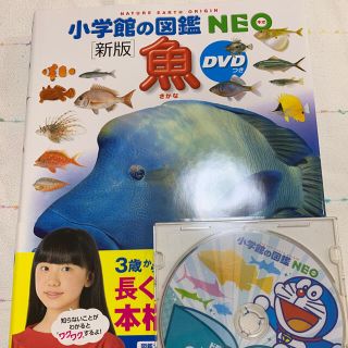 ショウガクカン(小学館)の小学館の図鑑 NEO 魚 新版 DVD付き(絵本/児童書)