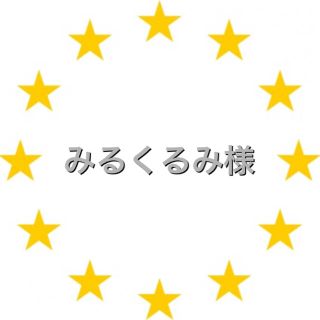 カワダ(Kawada)のみるくるみ様　専用　アイロンビーズ (各種パーツ)