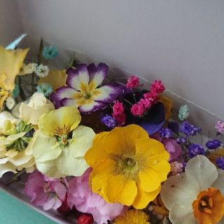 小さなお花の詰め合わせ (ドライフラワー ミックス(ドライフラワー)