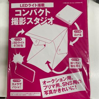 ショウガクカン(小学館)のDIME付録　2021年2.3月号特別付録(その他)