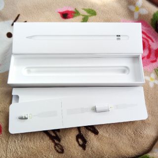 アップル(Apple)のApple pencil 1世代 箱のみ(その他)