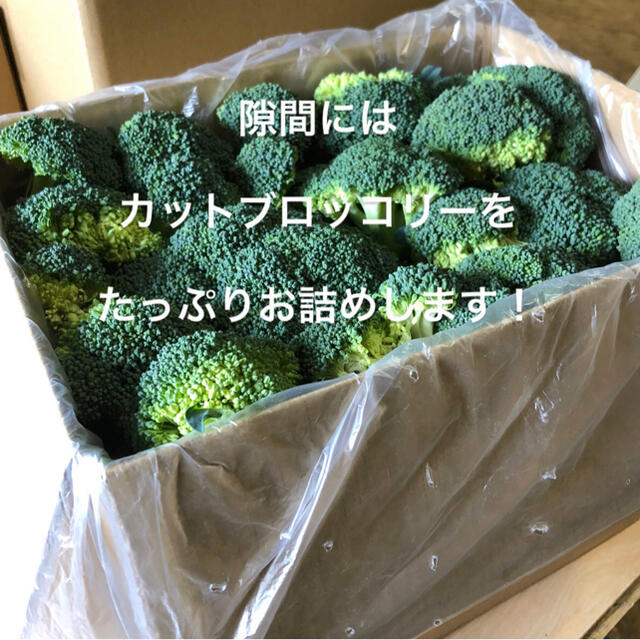 値下げ中！農家直送　採れたてブロッコリー　８０ 食品/飲料/酒の食品(野菜)の商品写真