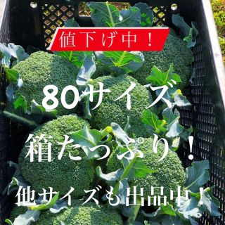 値下げ中！農家直送　採れたてブロッコリー　８０(野菜)