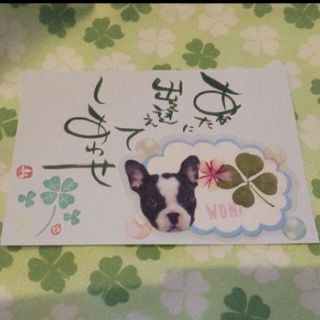 金目銀目様専用🍀ほっこり🍀フレンチブル＆にゃんこ 四つ葉のしおりセット🍀(しおり/ステッカー)