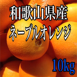 ネーブルオレンジ 10kg(フルーツ)