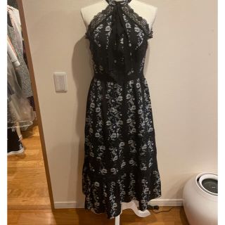 アーデム(Erdem)のアーデム　H&M  コラボ　ワンピース(ロングワンピース/マキシワンピース)