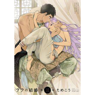 リーブル(Libre)のララの結婚 第三巻(ボーイズラブ(BL))