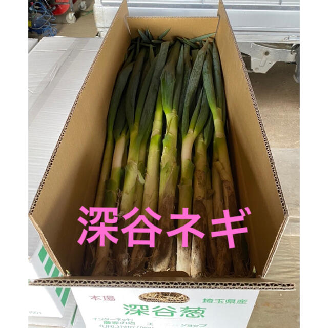 深谷ねぎ(新戒ネギ)10キロ 食品/飲料/酒の食品(野菜)の商品写真