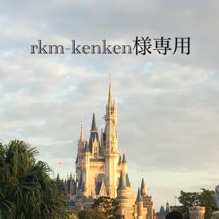 rkm-kenken様専用(その他)