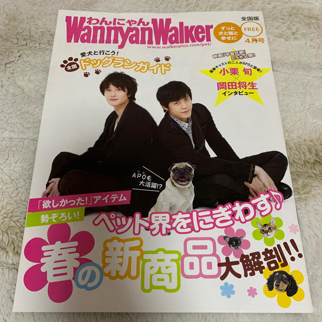 わんにゃんwalker 小栗旬　岡田将生 エンタメ/ホビーのタレントグッズ(男性タレント)の商品写真