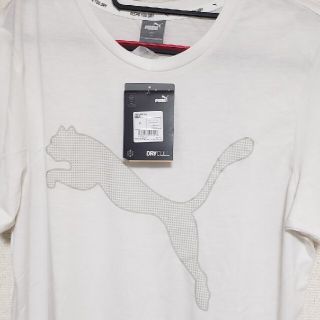 プーマ(PUMA)のPUMA Tシャツ新品未使用(Tシャツ(半袖/袖なし))